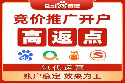 百度平台推广：成功案例解析与效果分析